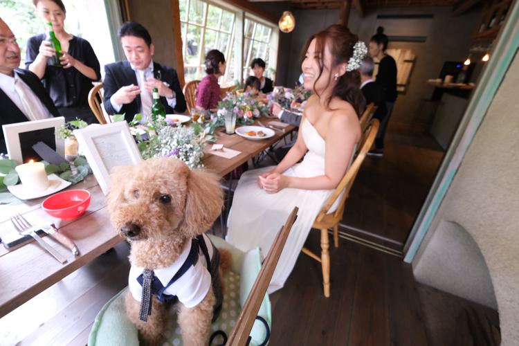 sayury weddingのウエディング