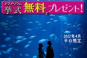 4月挙式のお客様に水族館結婚式を1組無料プレゼント！